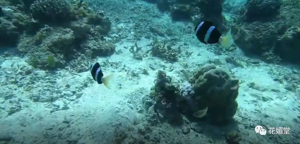 众证集团之——菲律宾行(图6)